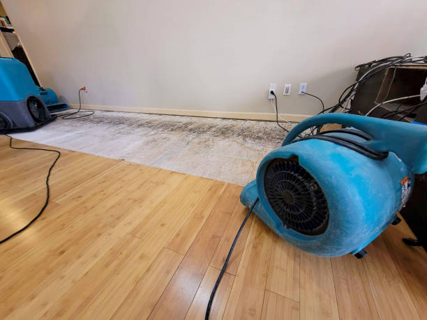 Professional Flood Damage Cleanup technician working in Shady Spring, WV